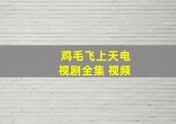 鸡毛飞上天电视剧全集 视频